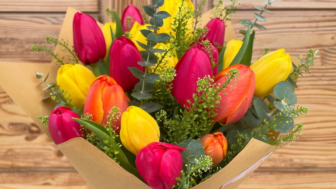 Tulipanes