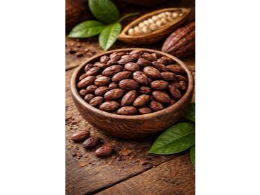 SEMILLA DE CACAO