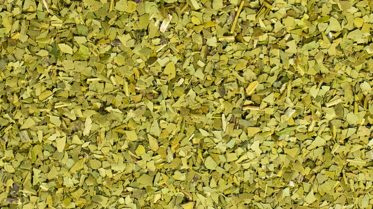 Yerba Mate