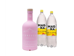 Aconcagua Pink + 2 Magna Tonica 1.5L