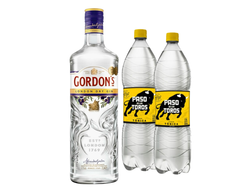 Gordons + 2 Magna Tónicas 1,5L