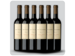 D.V Catena Zapata Cabernet - Malbec x6u