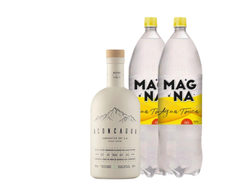 Aconcagua Blanco + 2 Magna Tonica 1.5L