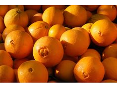 Naranja de Ombligo