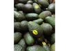 Palta PROPAL Grande