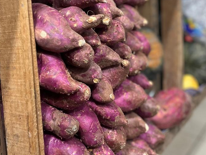 Batata