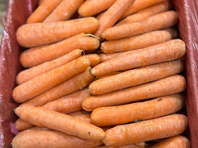Zanahoria