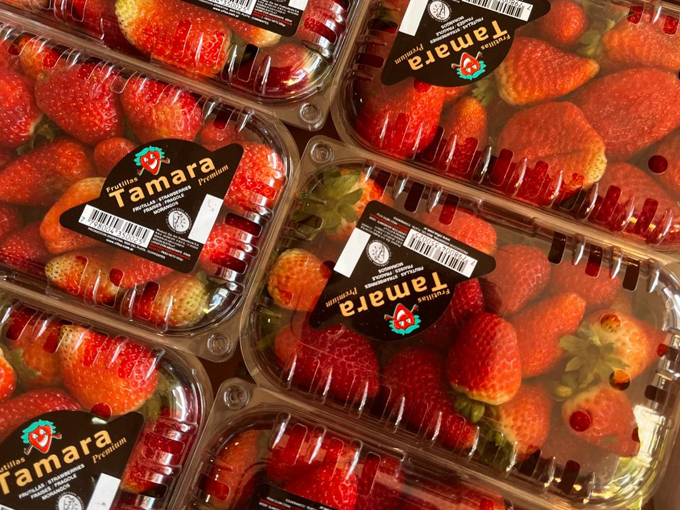 Frutilla 500g de Verdulería Aguaribay