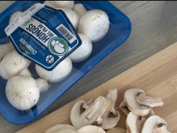 Champignon