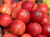 Manzana Criss pink