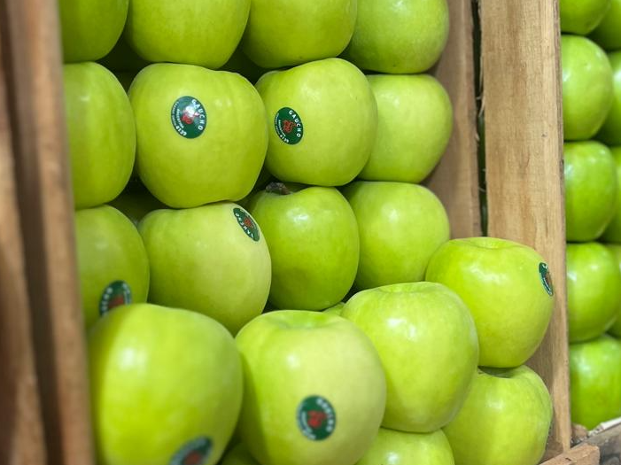 Manzana verde Gaucho