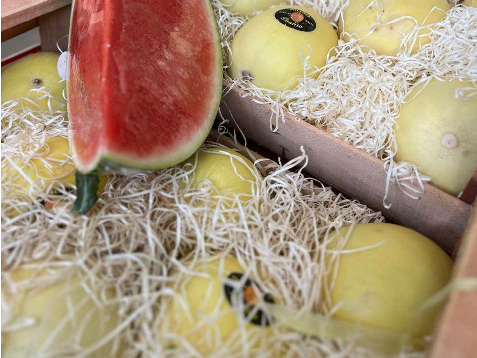 Melón