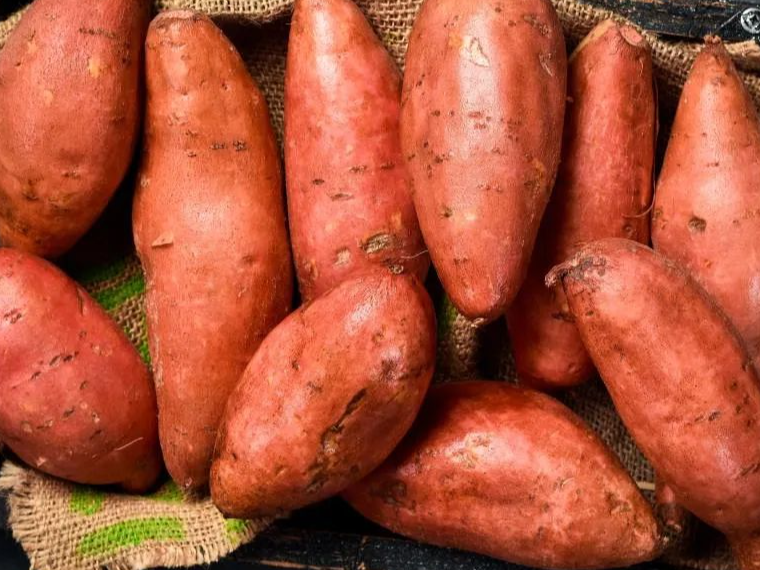 Batata Boniato