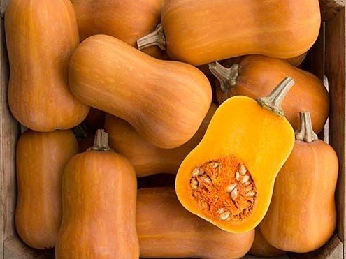 Calabaza Anco batata