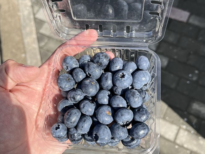 Arándanos 125g