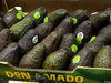 Palta Jujuy Grande