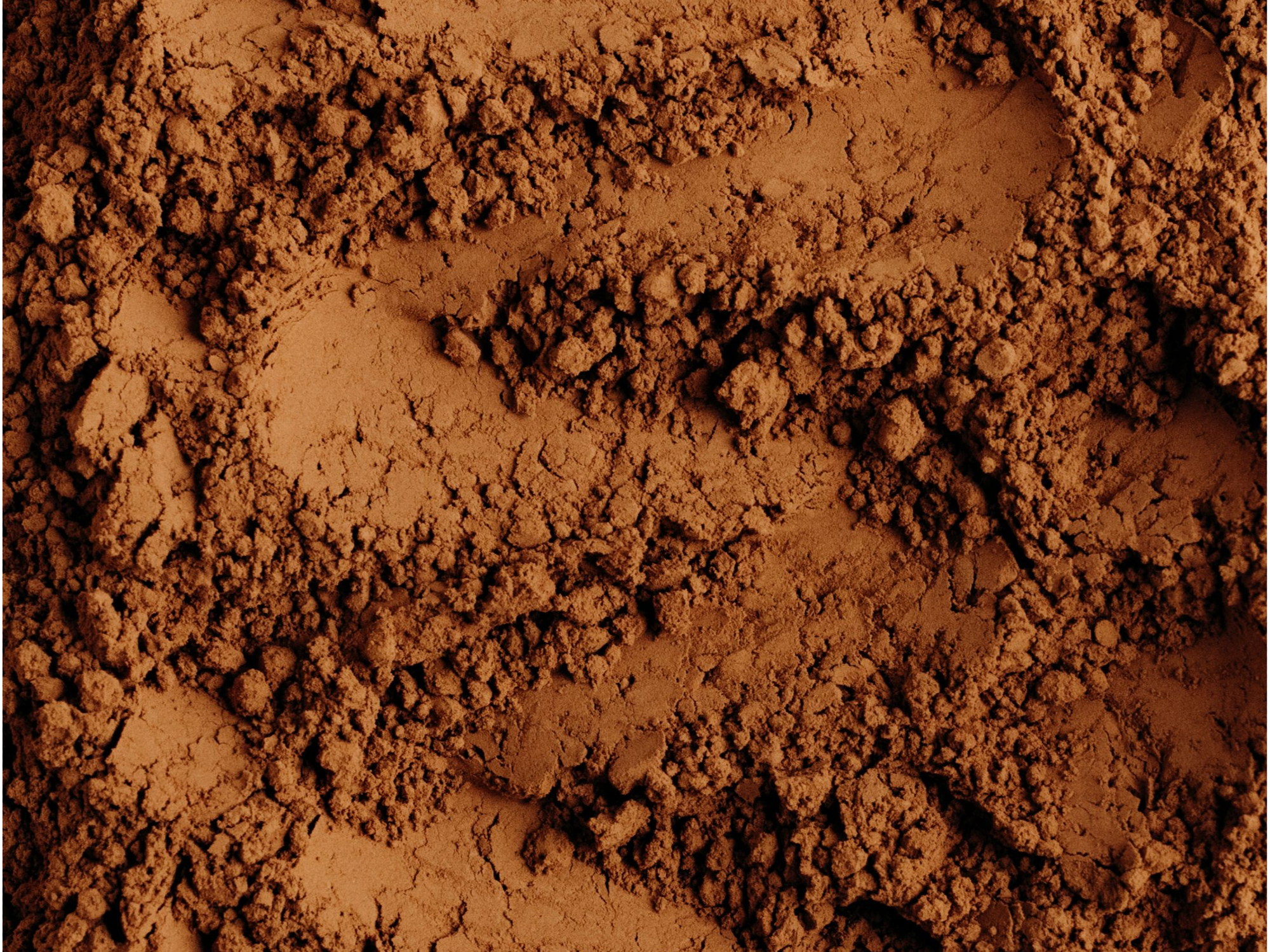 CACAO DULCE