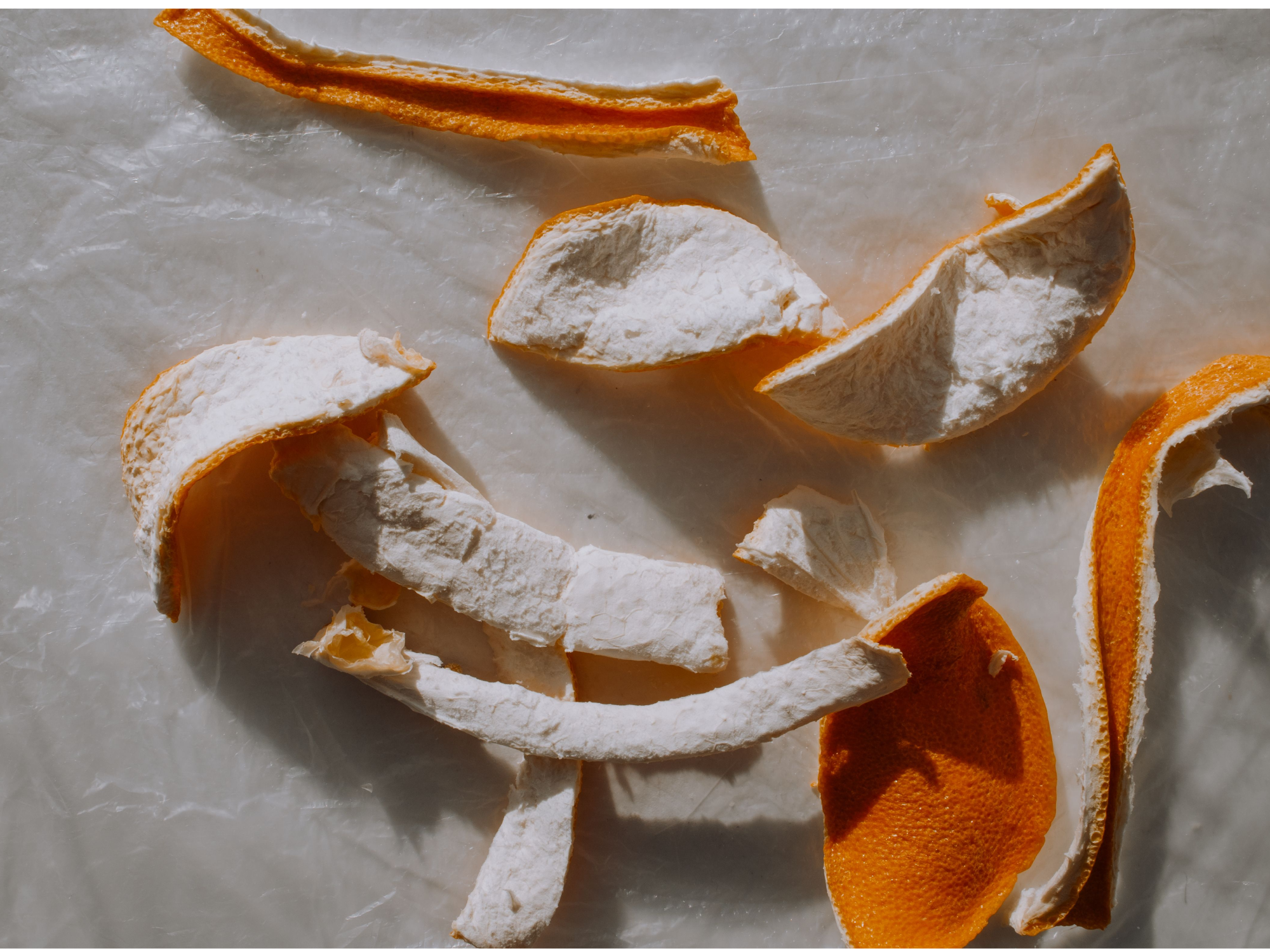 CASCARAS DE NARANJA