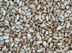 ARROZ INFLADO