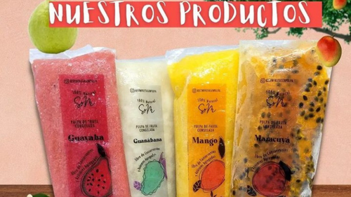 Pulpas de Frutas Congeladas x 500 Gr