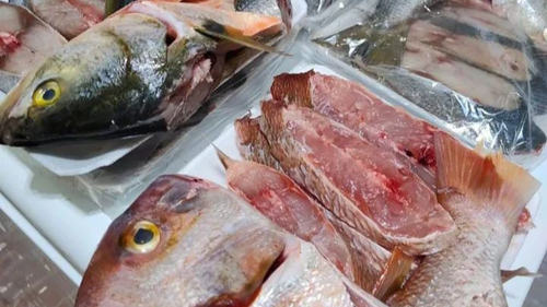 Pescado Congelado