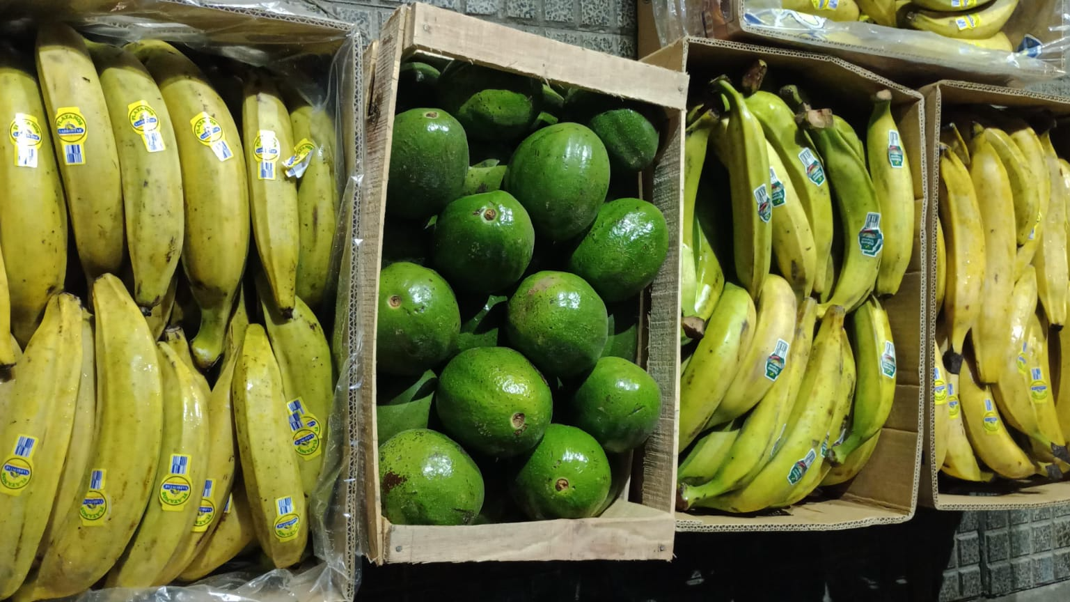 Platanos Amarillo, Verde y Aguacate 🥑