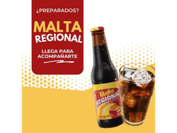 Malta Regional Importada 255 ML