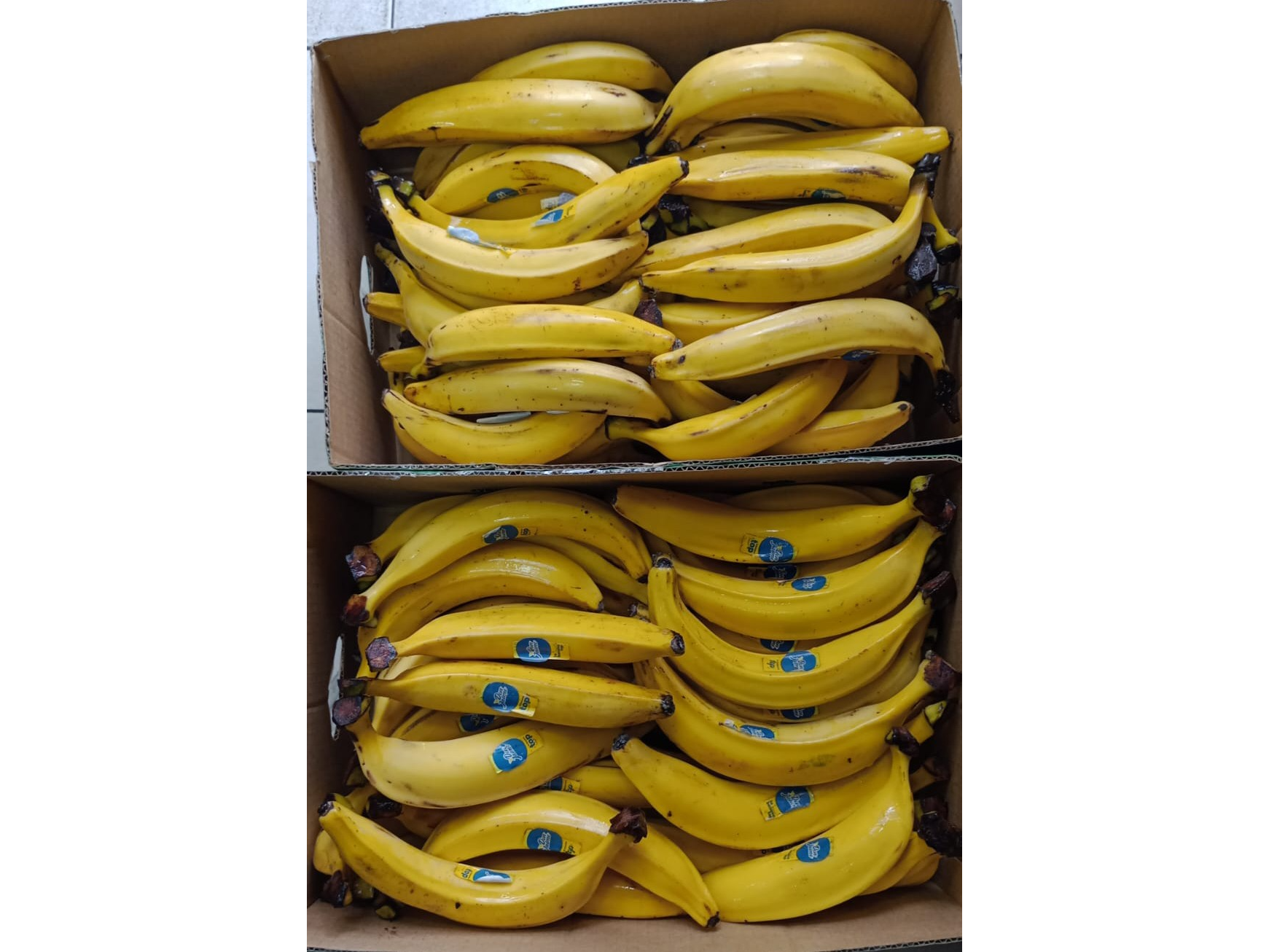 1 kg Platanos Amarillos Ecuatorianos Grandes
