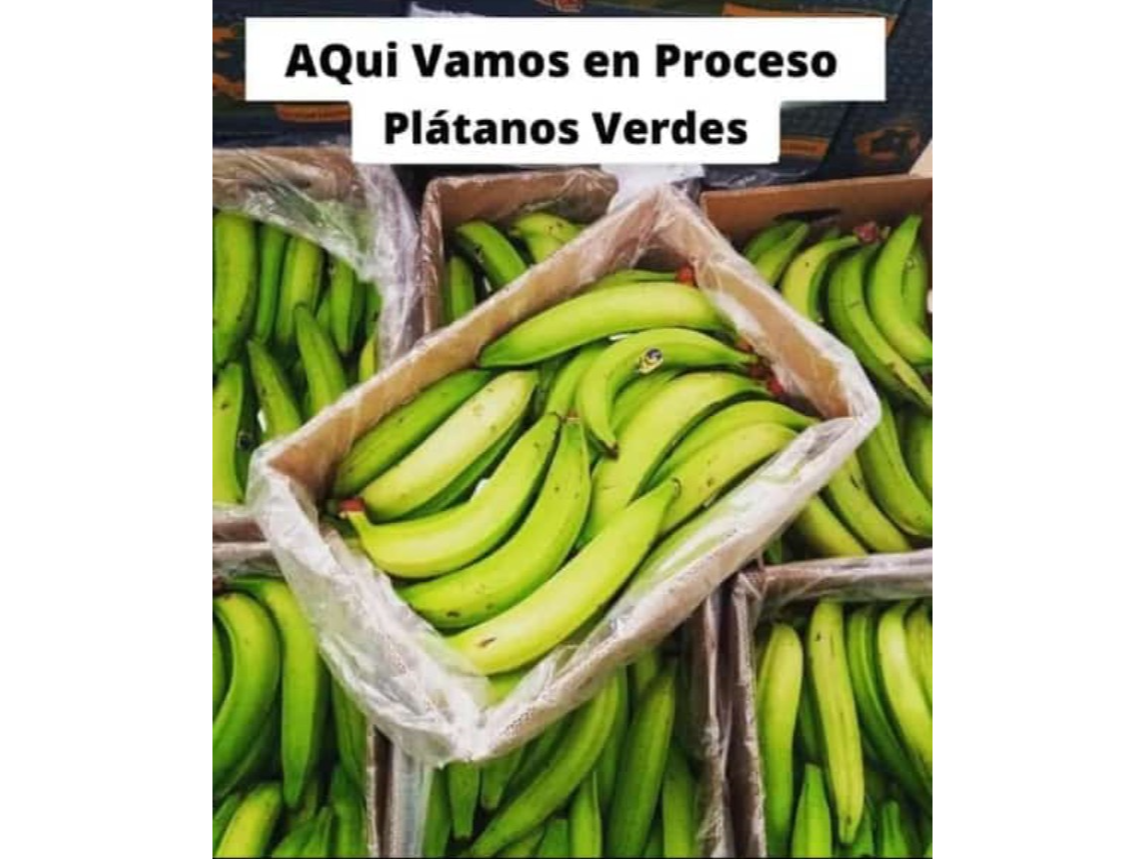 Platanos Verdes Ecuatoriano Grandes El Kg
