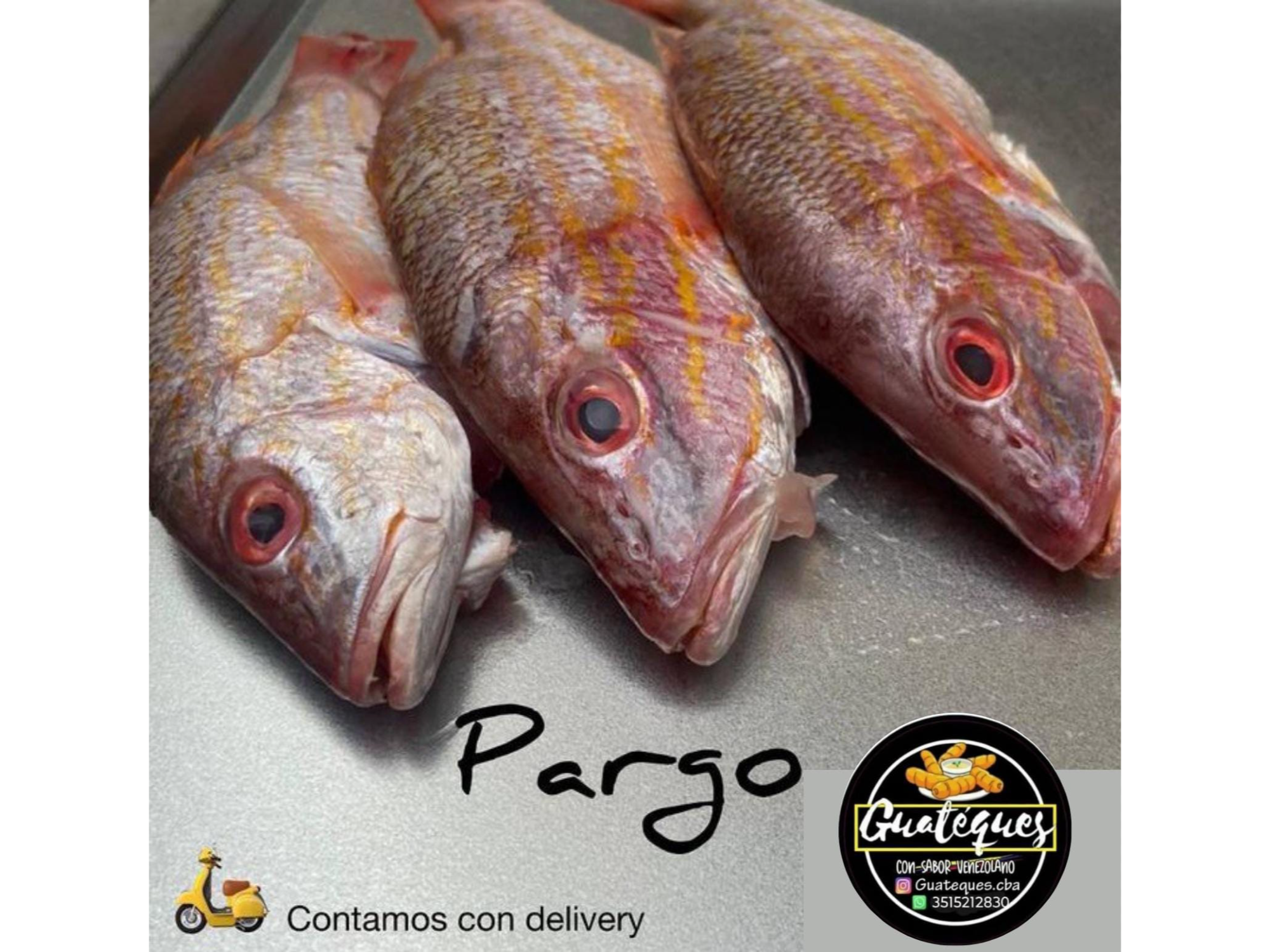 Pargo Congelado