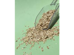 Avena en Hojuela a Granel