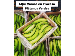 Promo 2 Kg de Platanos Verdes Ecuatoriano