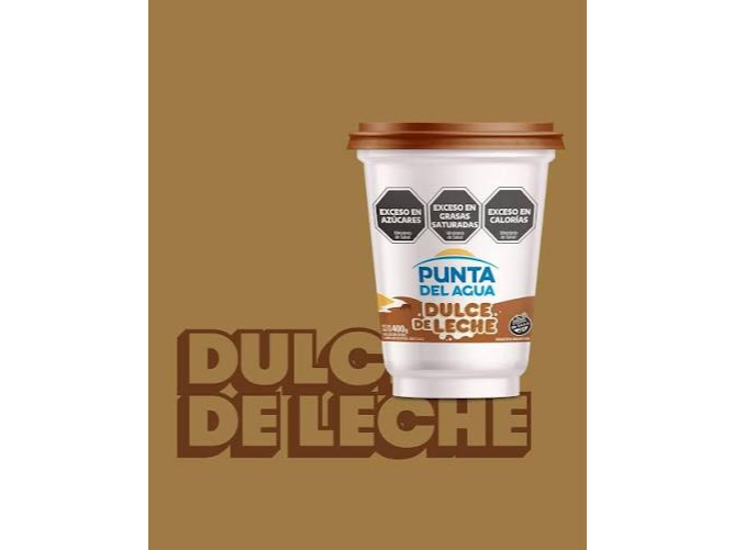 Dulce de Leche Punta del Agua de 400 Gr