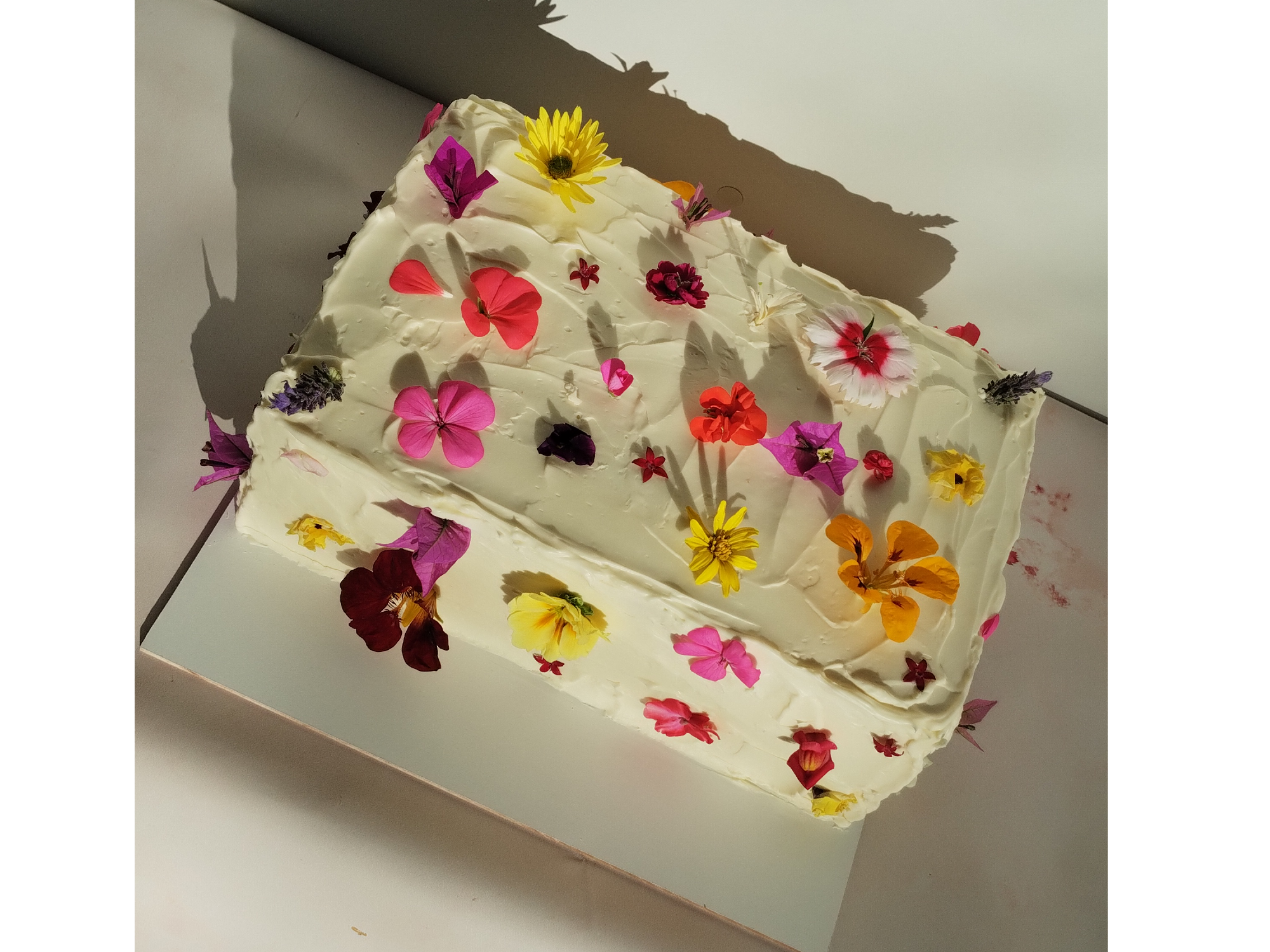 Torta rectangular Tendencia