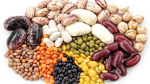 LEGUMBRES Y CEREALES