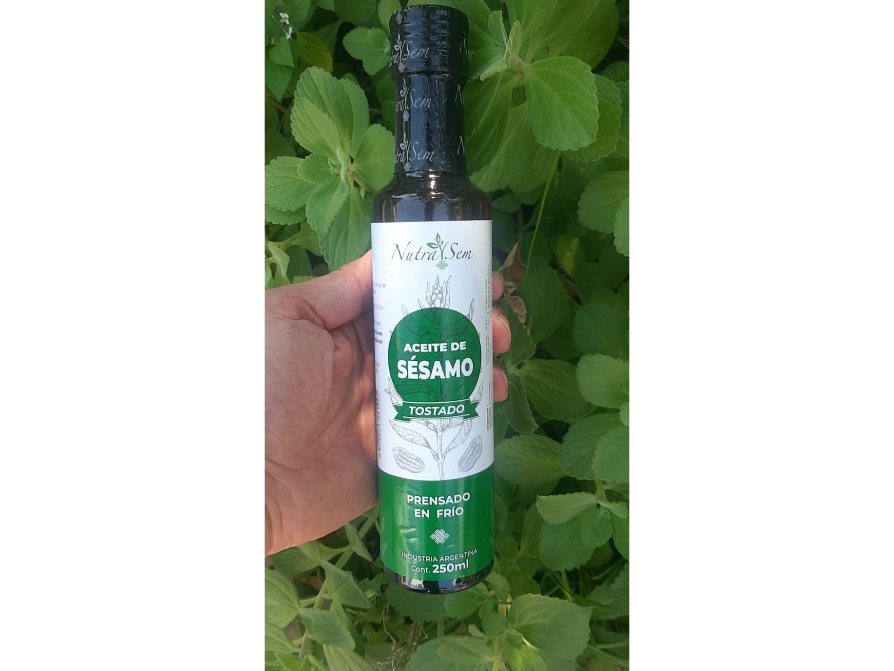 Aceite de Sesamo Tostado x 250ml . Nutrasem