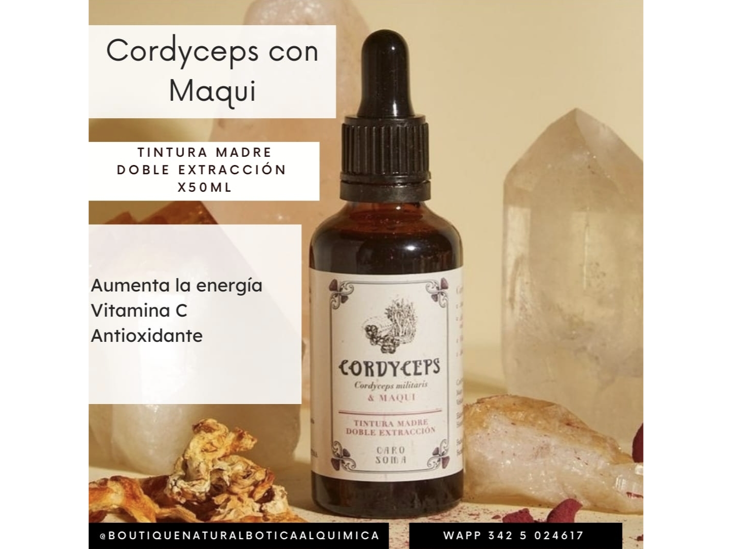 Tintura Madre de Cordyceps con Maqui x 50ml . Caro Soma