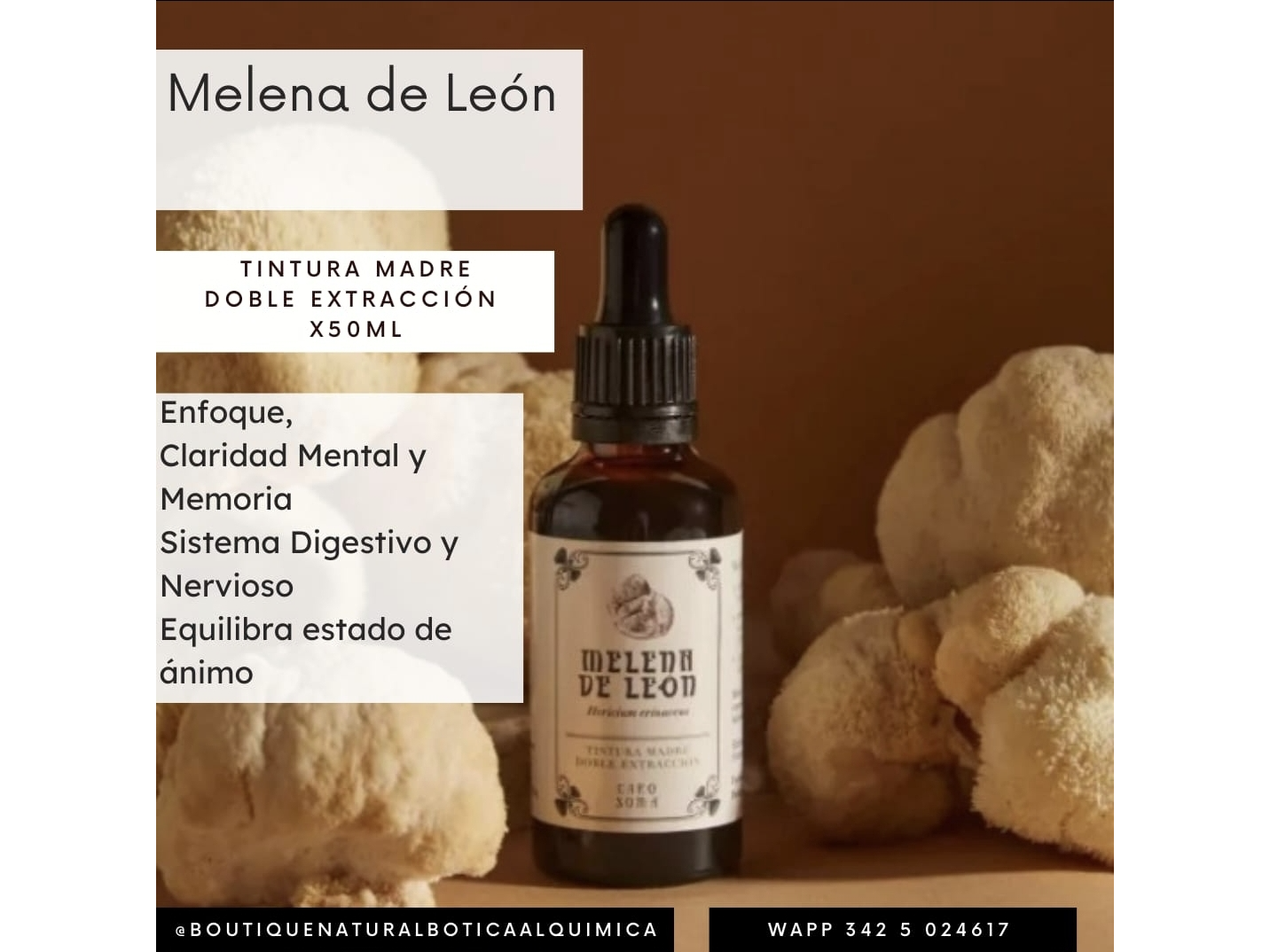 Tintura Madre Melena de Leon x 50ml . Caro Soma