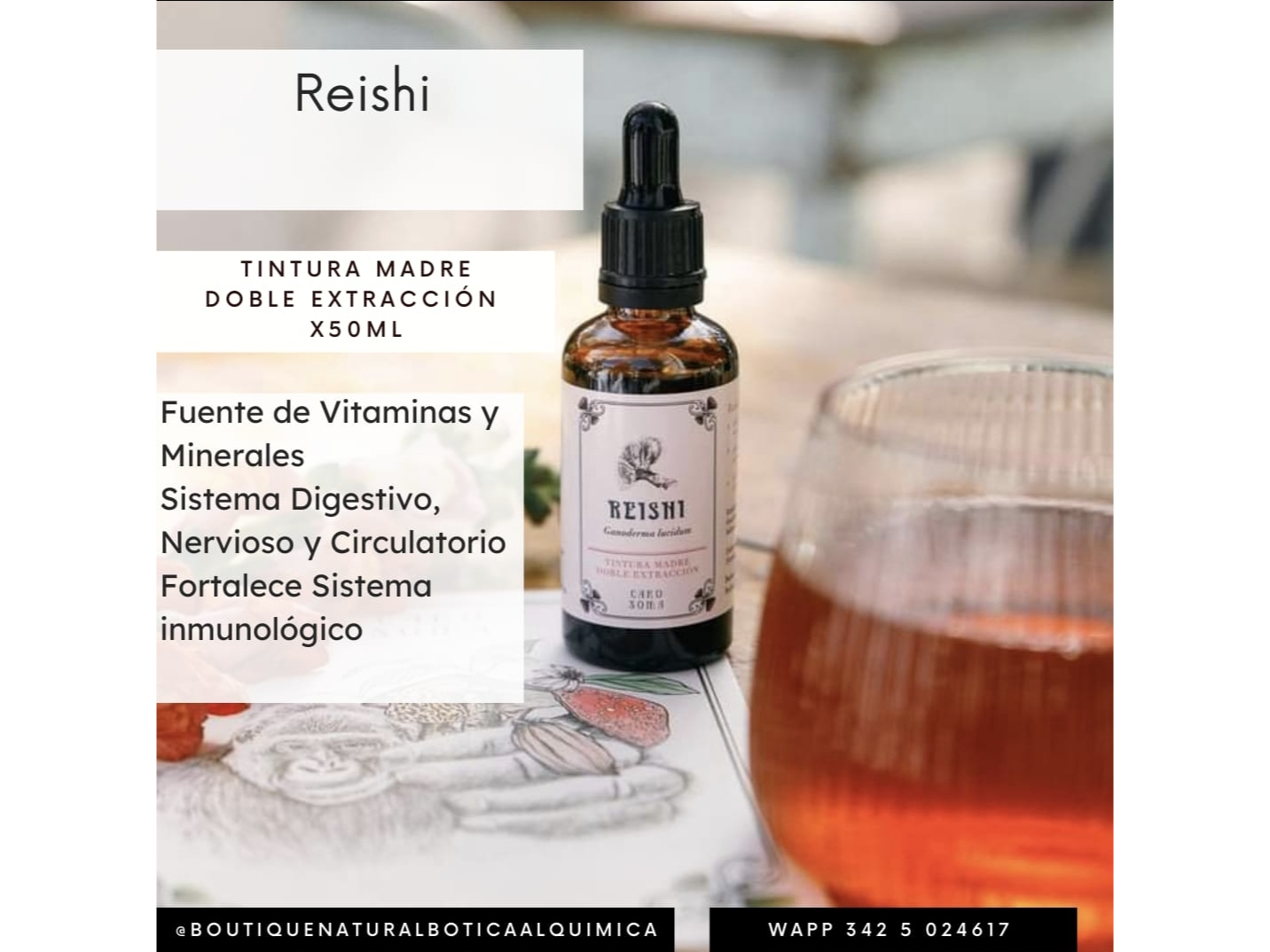 Tintura Madre Hongo Reishi x 50ml. Caro Soma