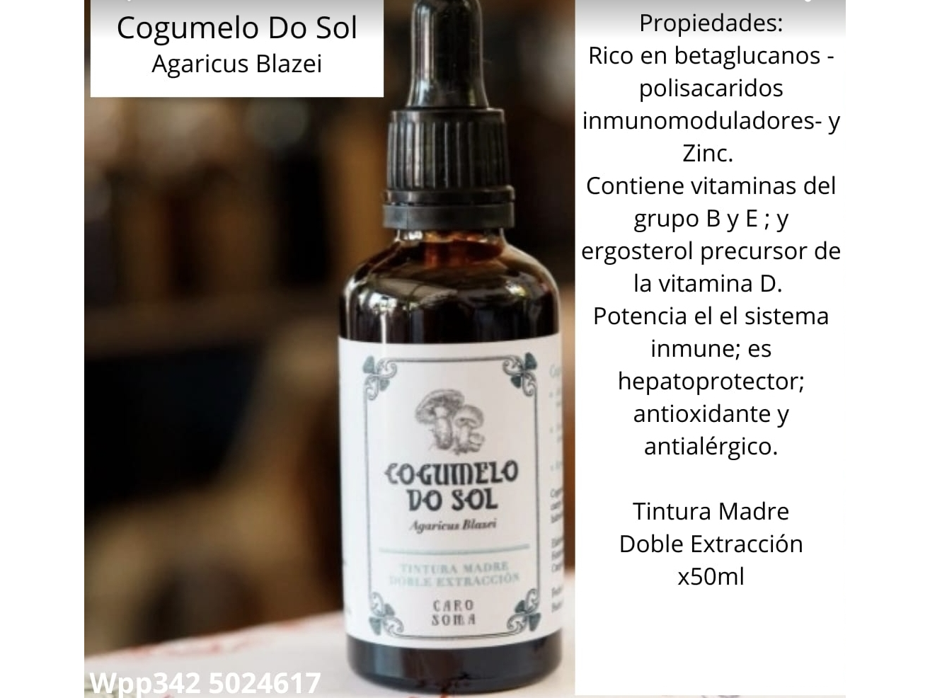 Tintura Madre de Cogumelo do Sol x 50ml . Caro Soma