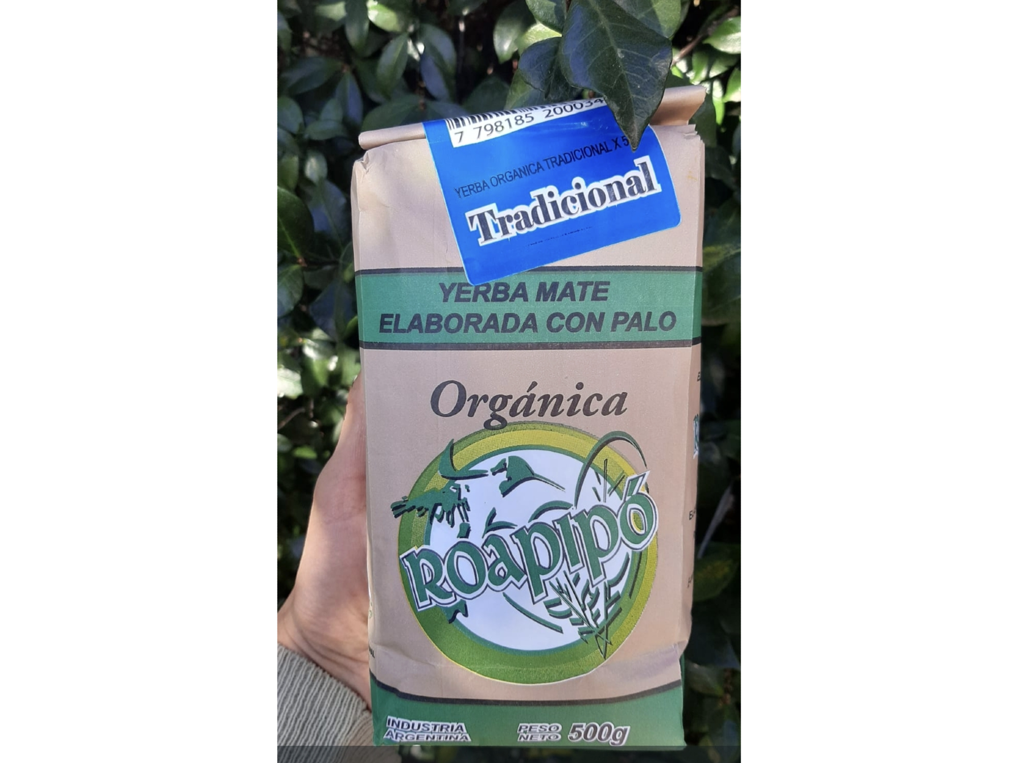 Yerba Mate Orgánica Tradicional x 500g Roapipó