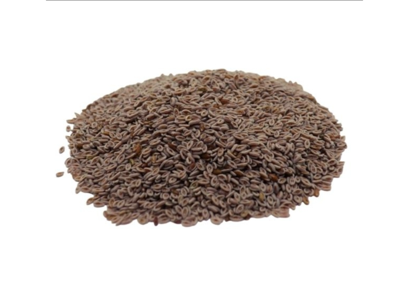 Semilla de Psylium x 100g