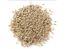 Semillas de Alpiste x 200g