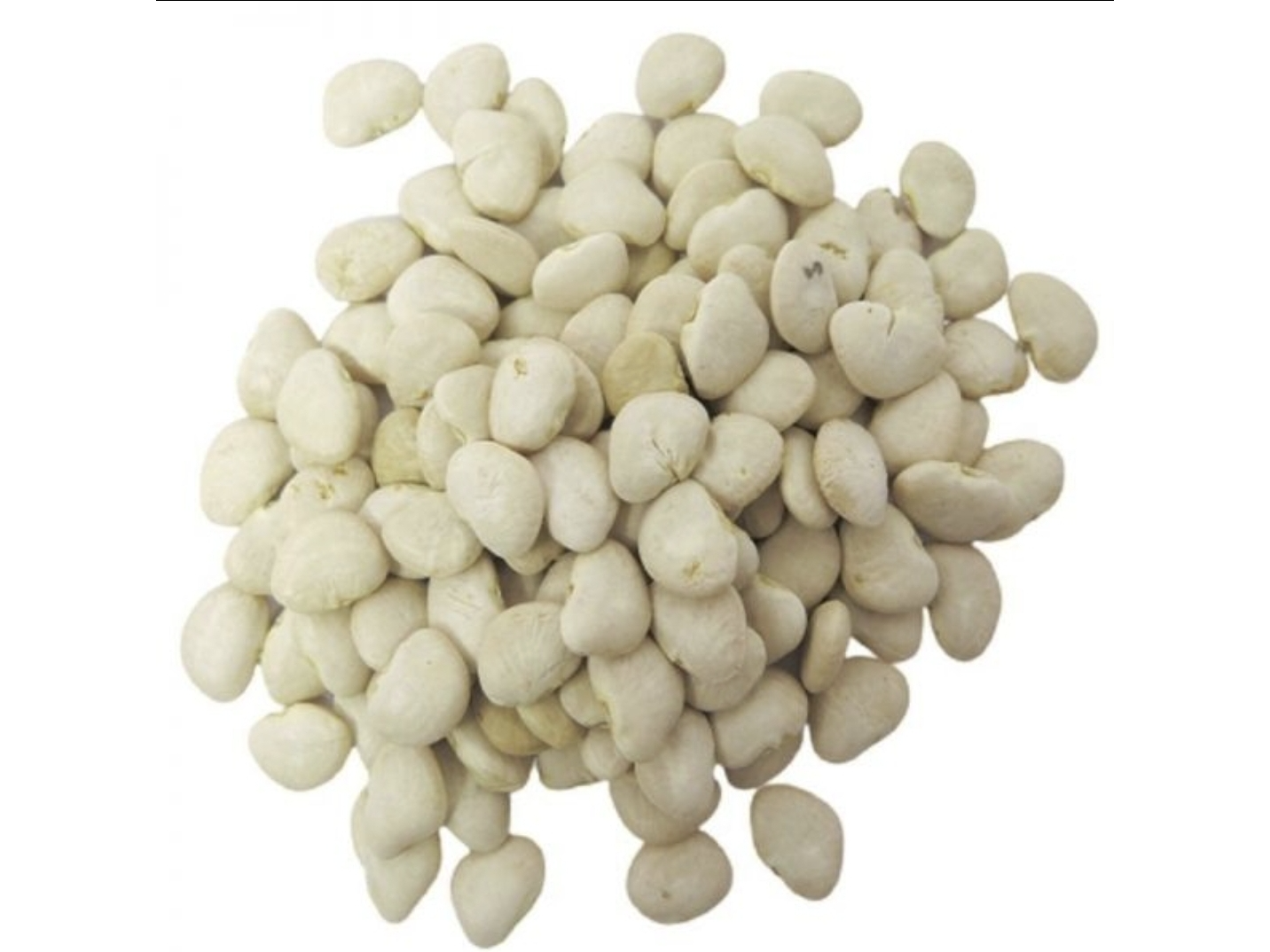 Poroto Manteca x 500g