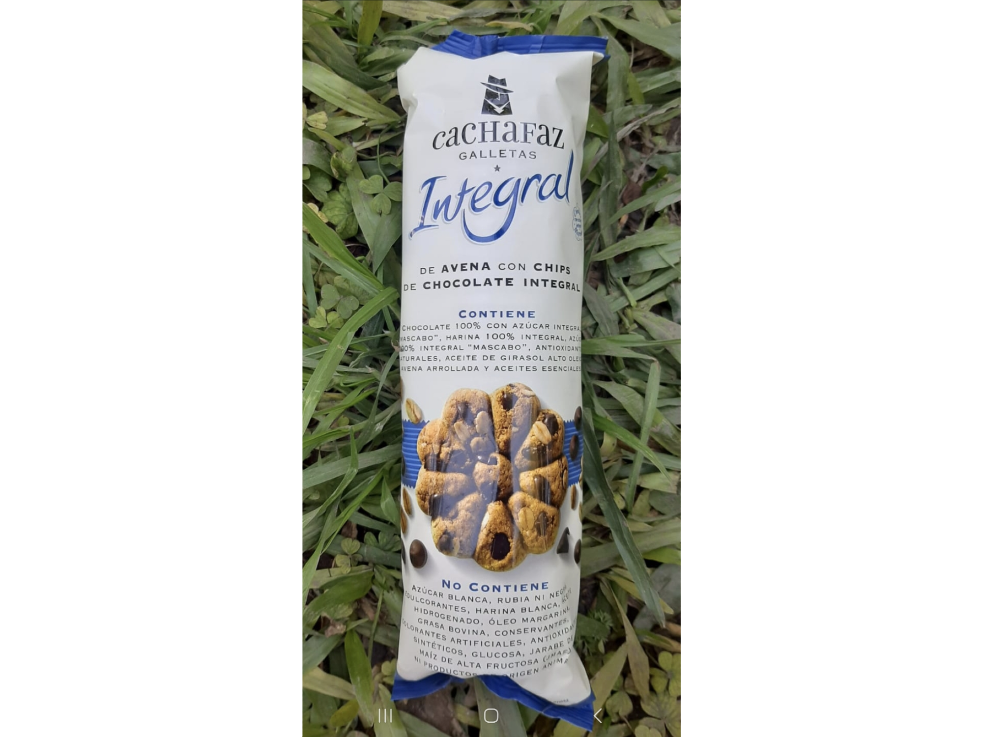 Galletitas Integrales de avena con chips de chocolate Cachafaz