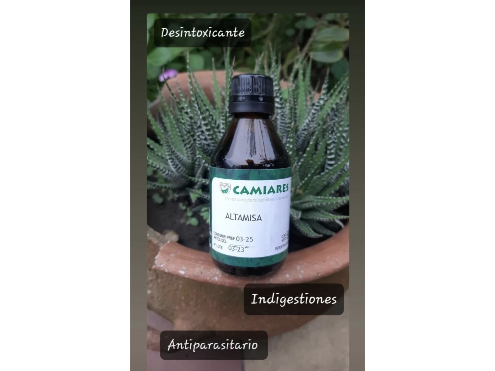 Tintura de Altamisa x 60cc Camiares