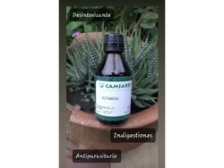 Tintura de Altamisa x 60cc Camiares