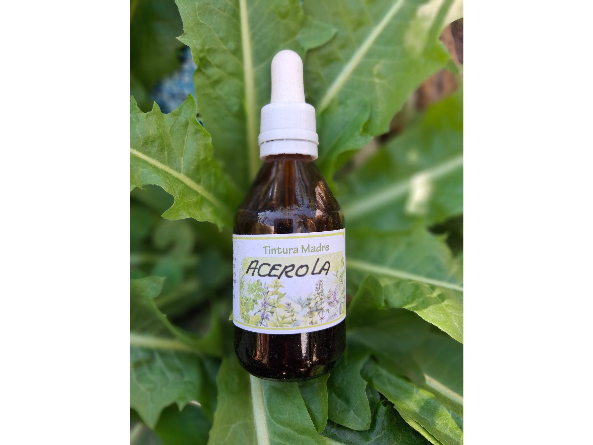 Tintura de Acerola x 60cc Naturaleza Viva