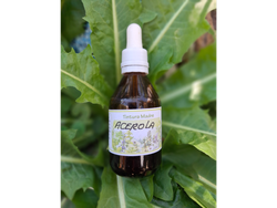 Tintura de Acerola x 60cc Naturaleza Viva