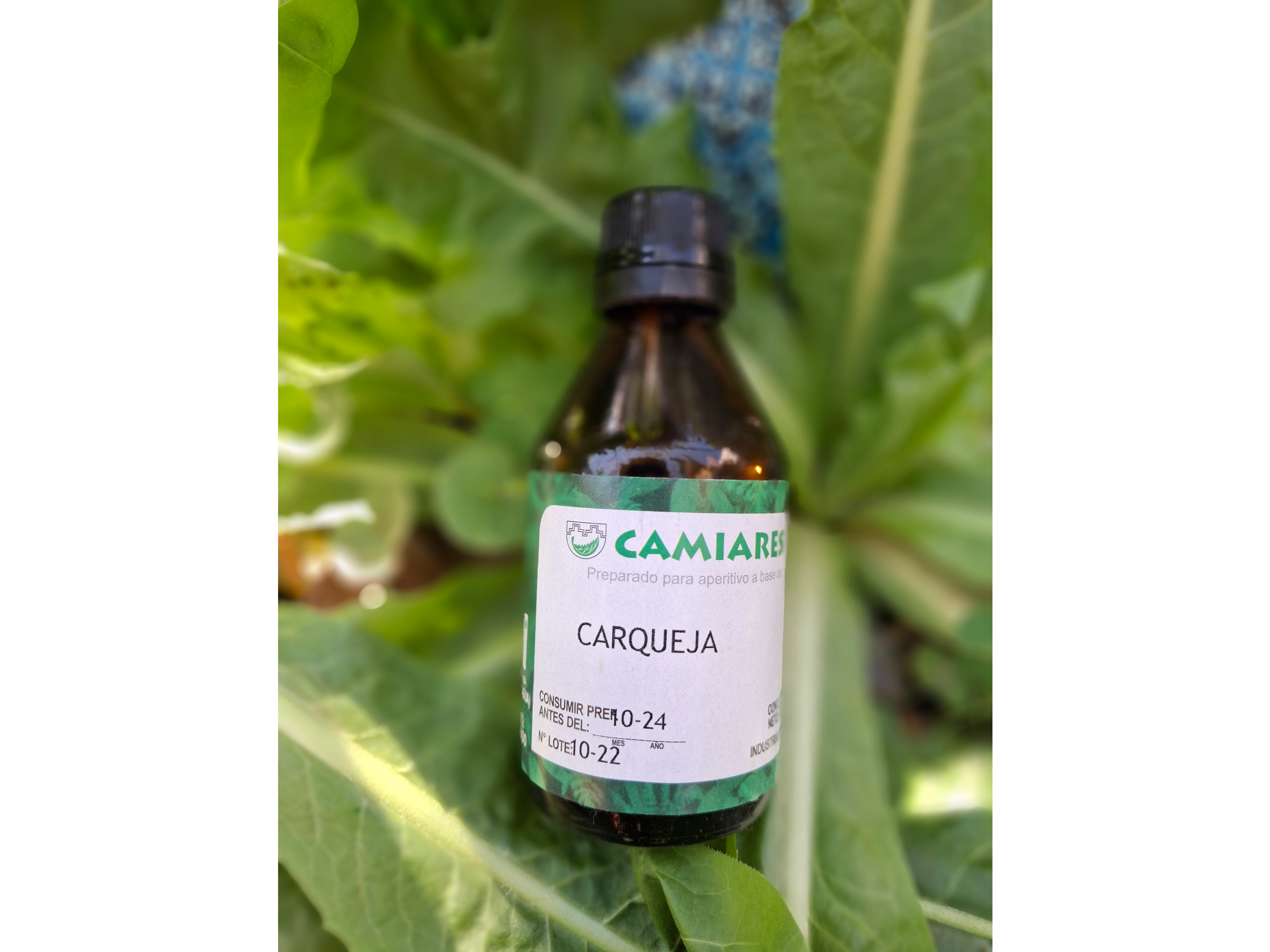 Tintura de Carqueja x 60cc Camiares